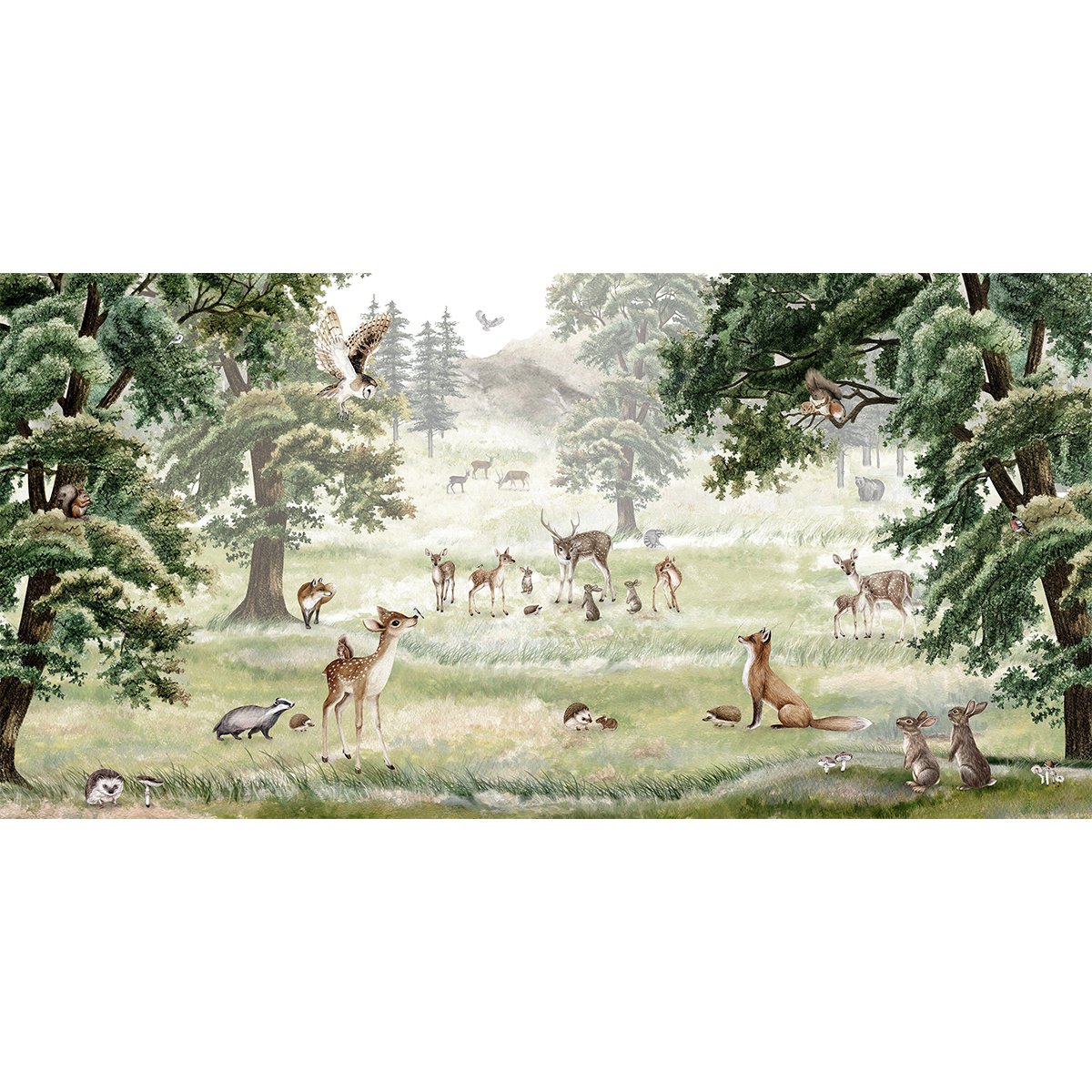 Kikki Belle | Forest Fun Kikki Belle | Forest Fun