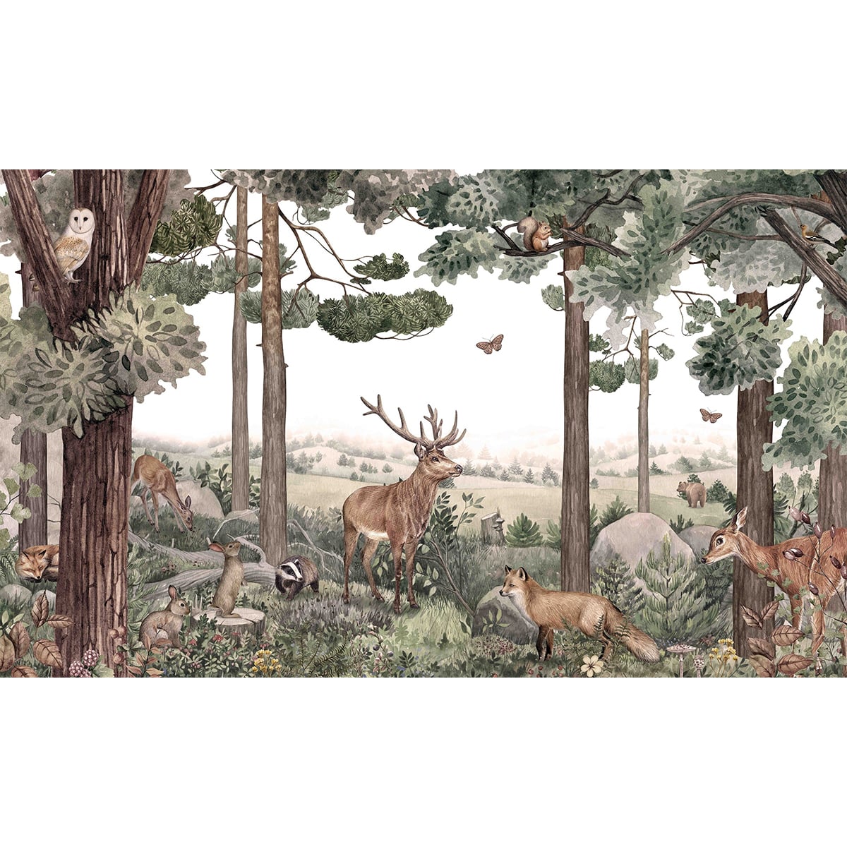 Kikki Belle | Forest Jive Kikki Belle | Forest Jive