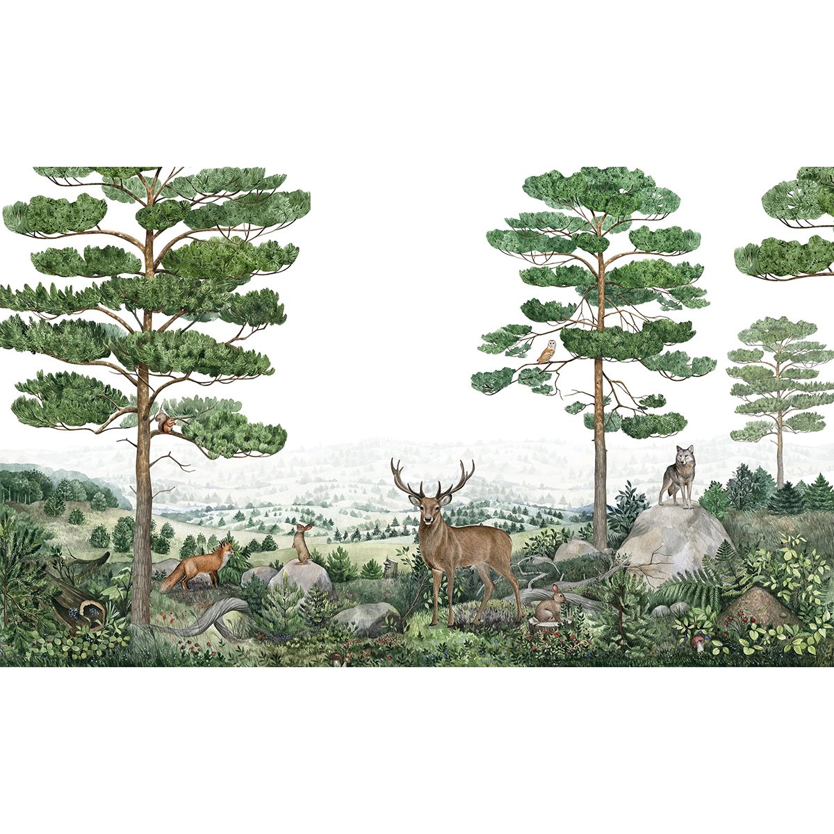 Kikki Belle | Forest Vista Kikki Belle | Forest Vista