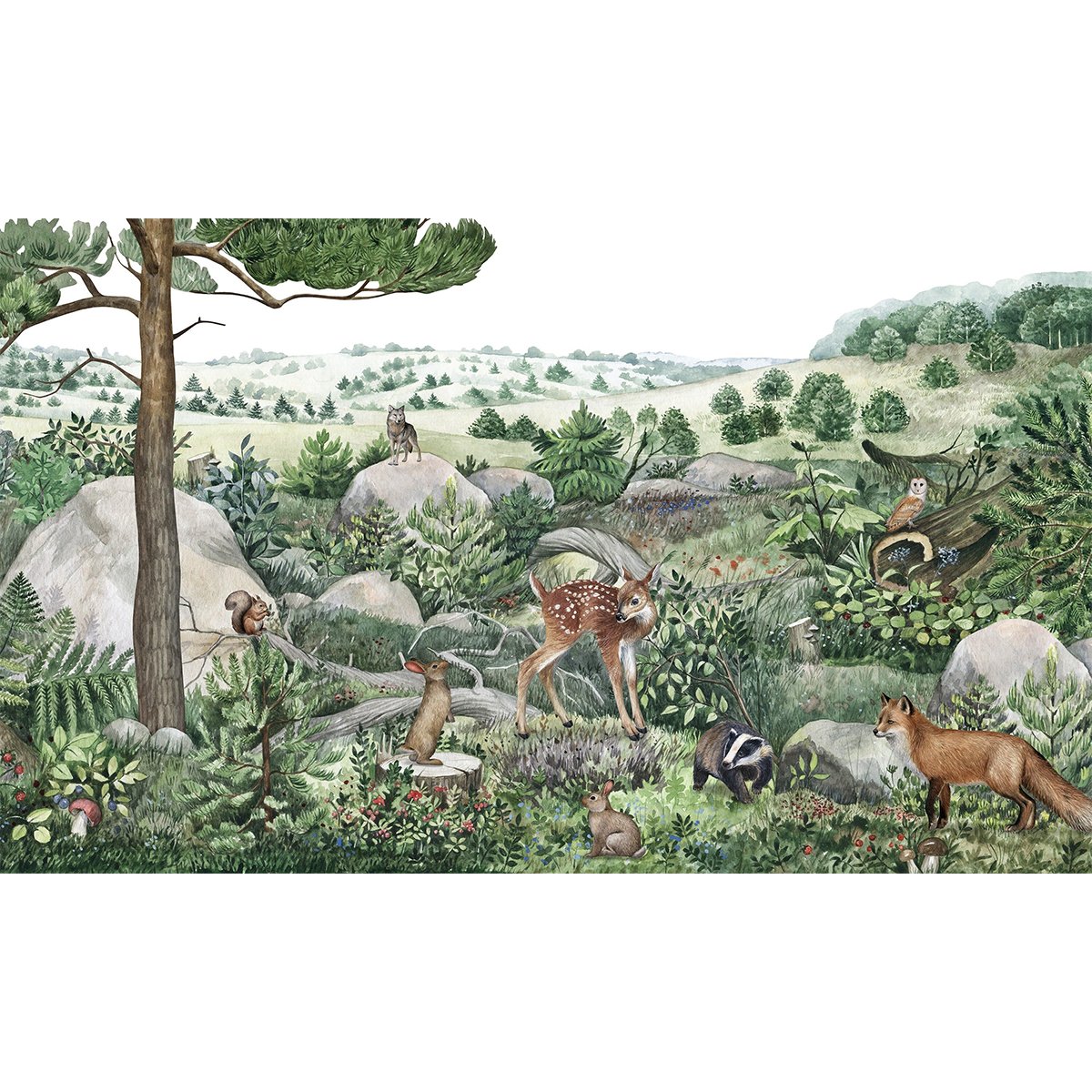 Kikki Belle | Happy Hills Kikki Belle | Happy Hills