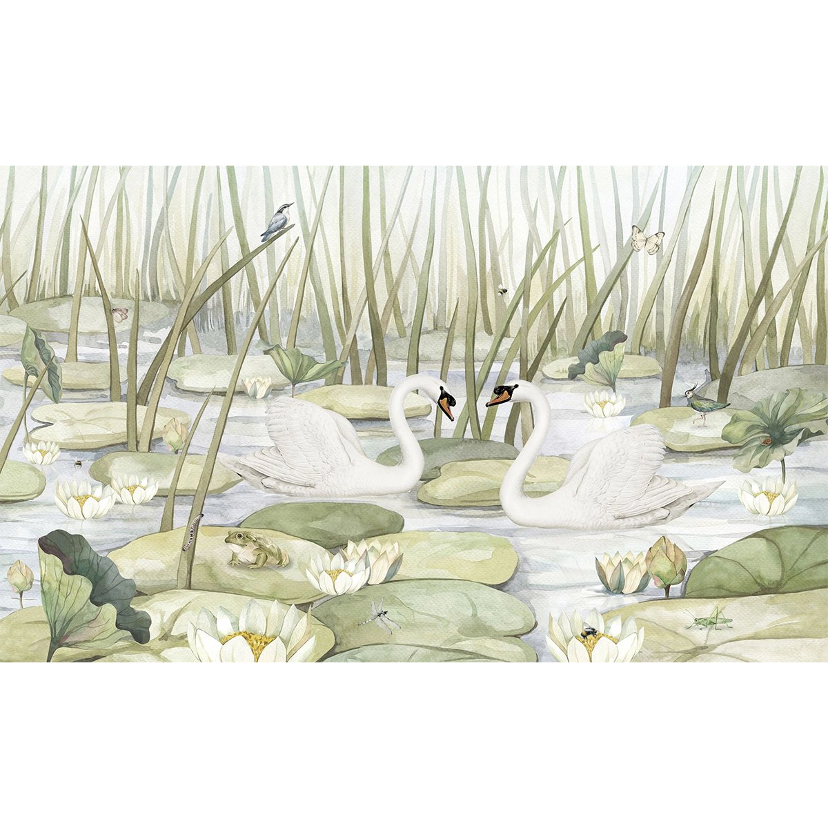 Kikki Belle | Spectacular Swans Kikki Belle | Spectacular Swans