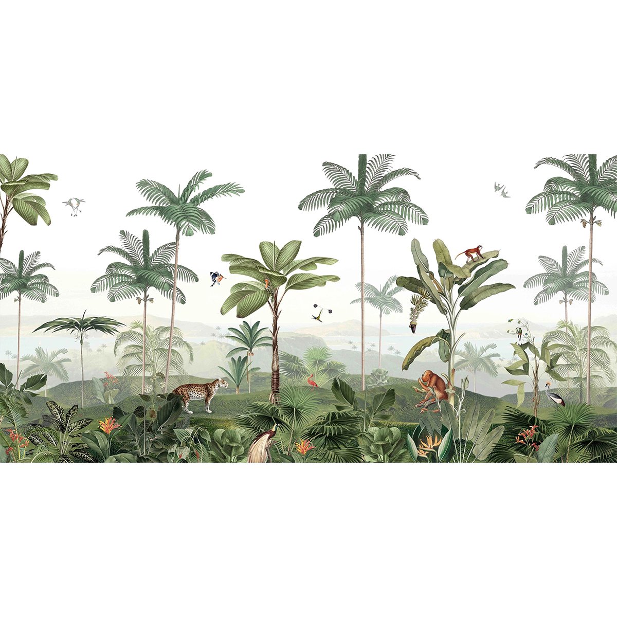 Kikki Belle | Thrilling Tropical Kikki Belle | Thrilling Tropical