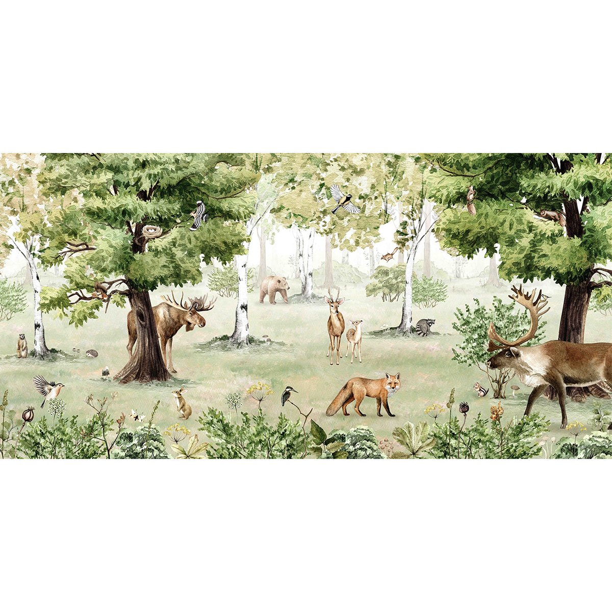 Kikki Belle | Woodland Wonders Kikki Belle | Woodland Wonders