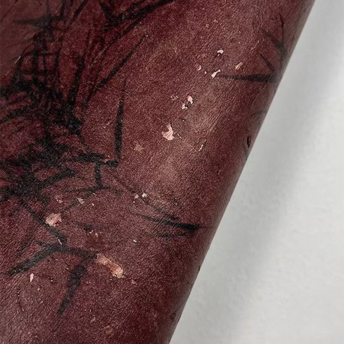 Lusoluxe Imperial | Aesthetic Bamboo Tree Lusoluxe Imperial | Aesthetic Bamboo Tree