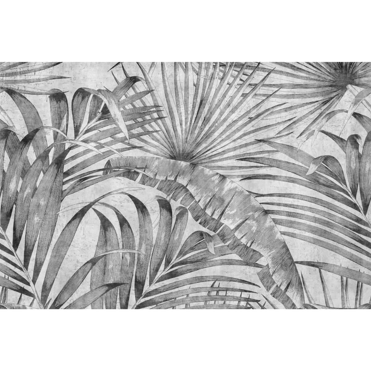 Lusoluxe Imperial | Monochrome Palm Leaf Lusoluxe Imperial | Monochrome Palm Leaf