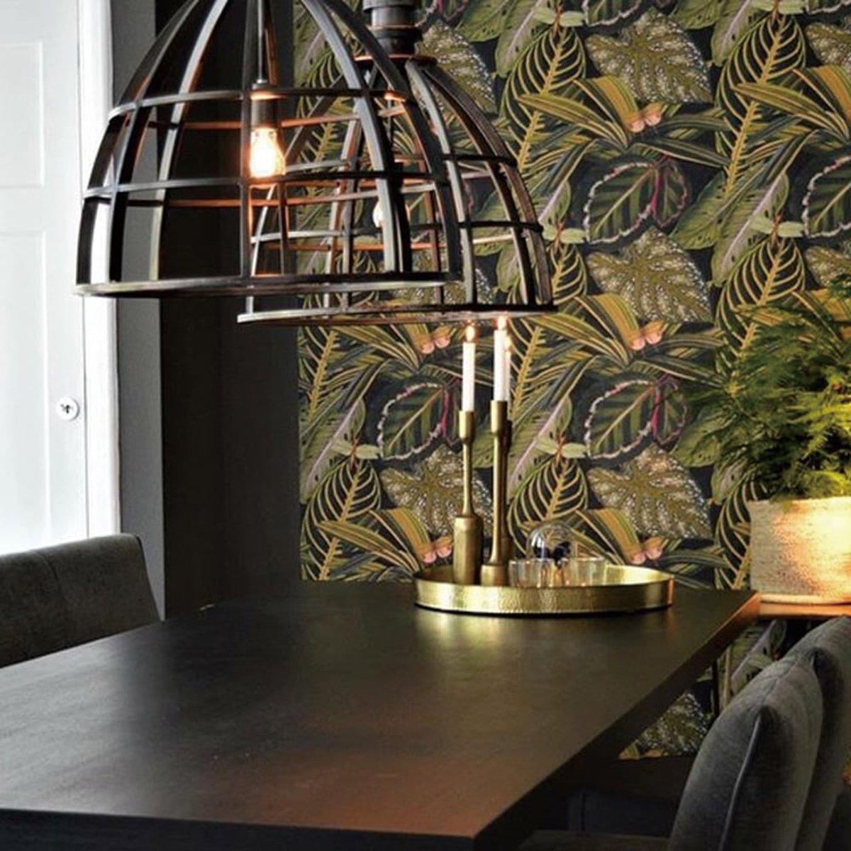 MINDTHEGAP | Amazonia | WP20159 MINDTHEGAP | Amazonia | WP20159