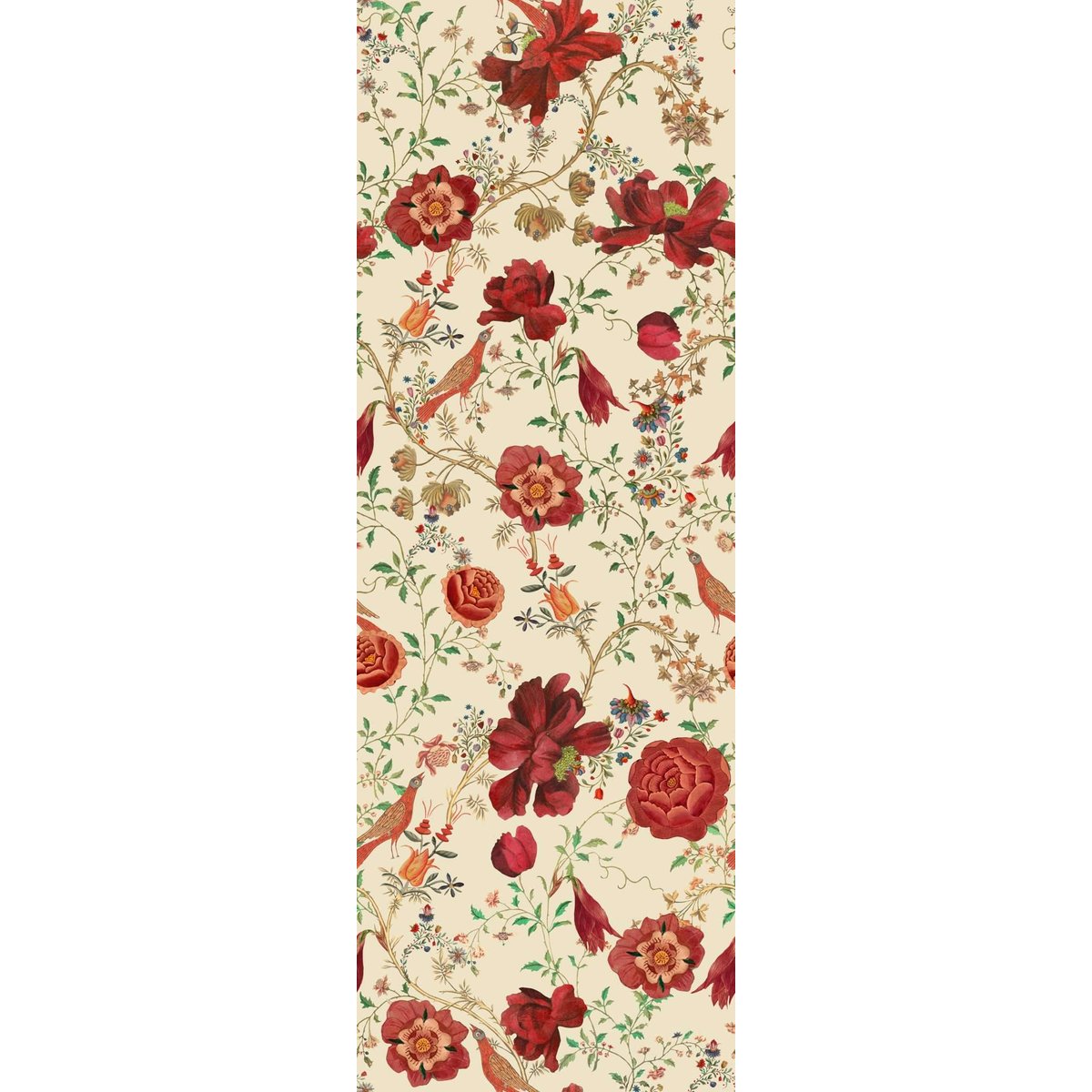 MINDTHEGAP | TRANSLYVANIAN ROOTS | TRANSSILVANIAE FLORILEGIUM | WP20556 MINDTHEGAP | TRANSLYVANIAN ROOTS | TRANSSILVANIAE FLORILEGIUM | WP20556