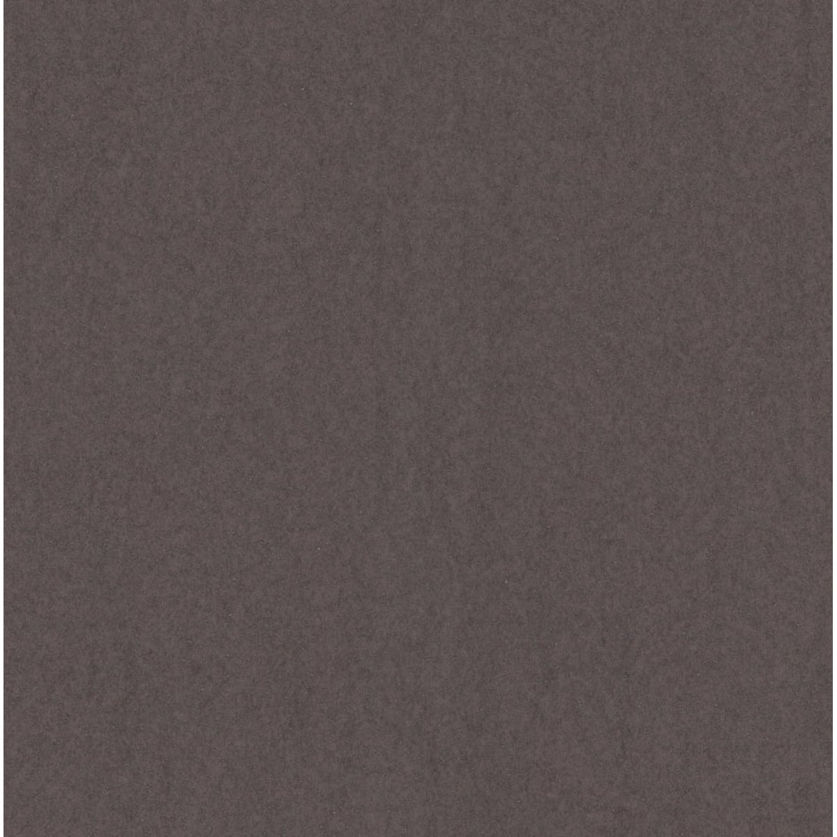 Marburg | The New Amsterdam XLI Marburg | The New Amsterdam XLI