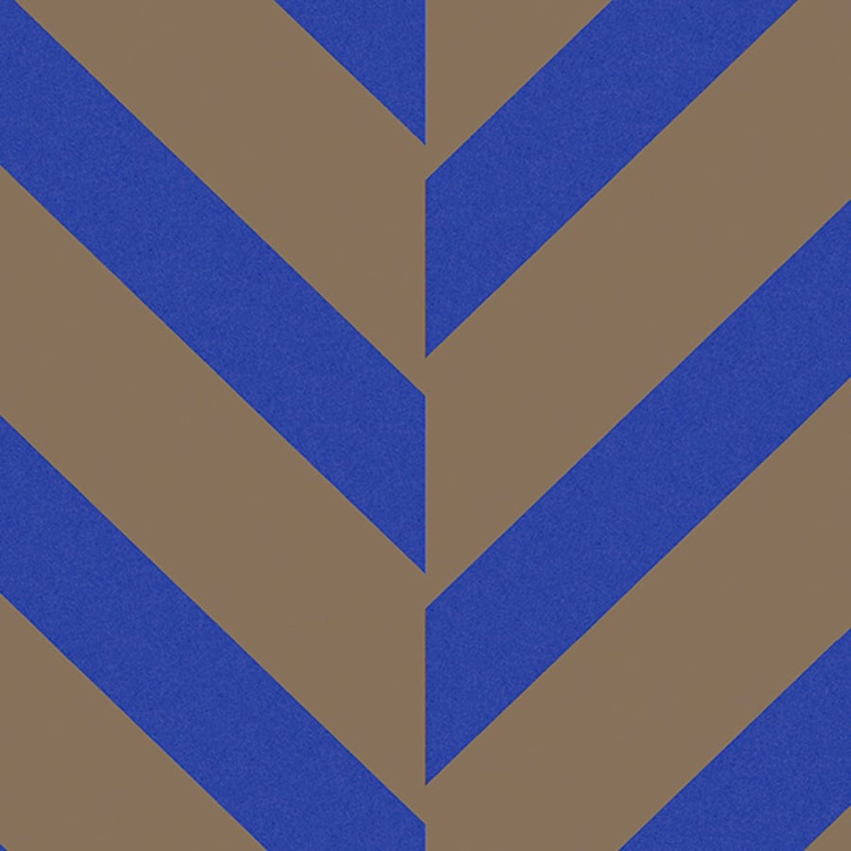 Marburg | The New Amsterdam XXIX Marburg | The New Amsterdam XXIX