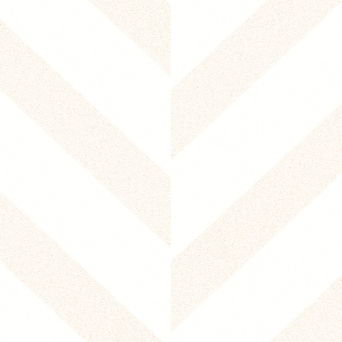 Marburg | The New Amsterdam XXIX Marburg | The New Amsterdam XXIX