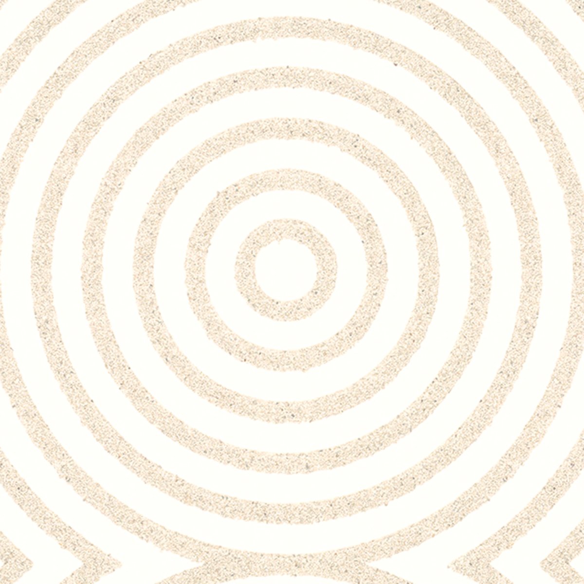 Marburg | The New Amsterdam XXX Marburg | The New Amsterdam XXX