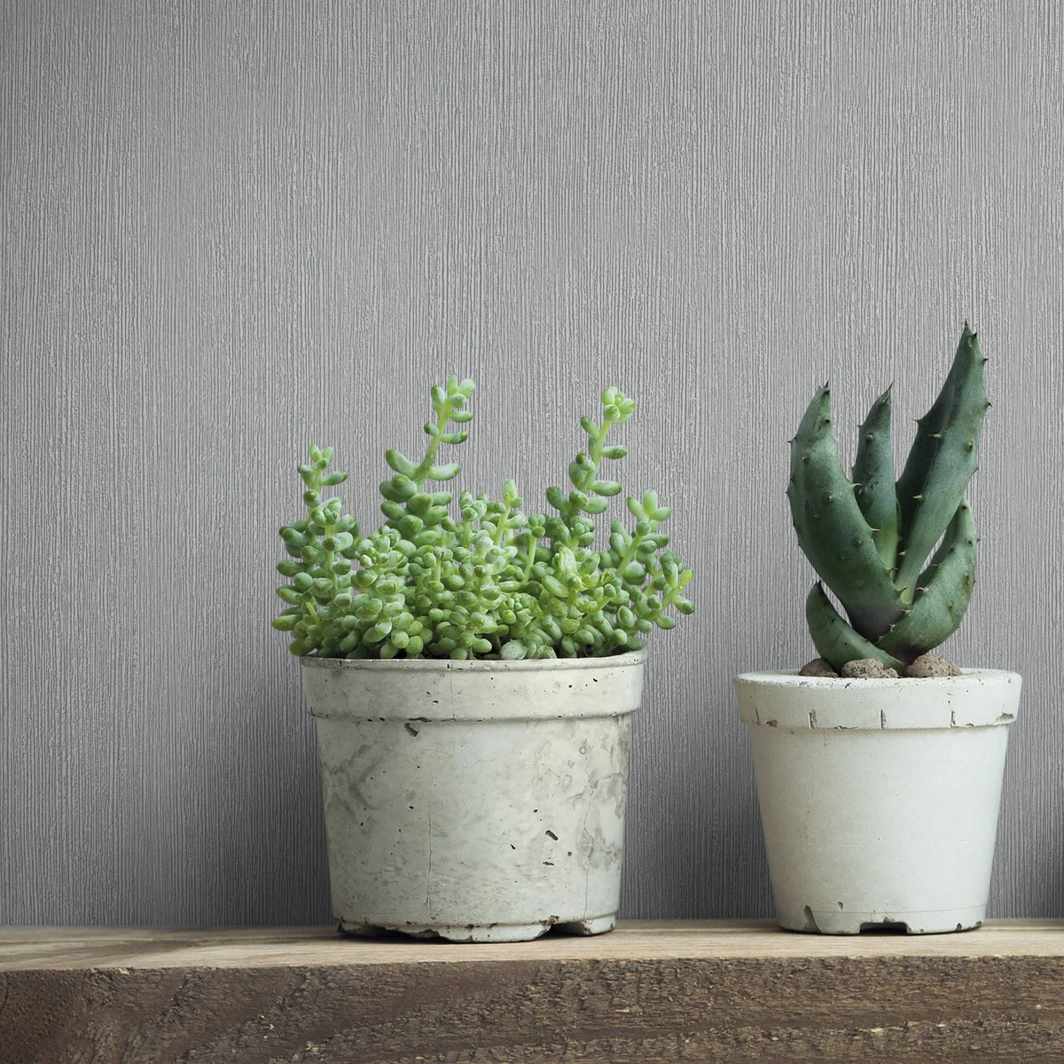 Marburg | Timber I Marburg | Timber I