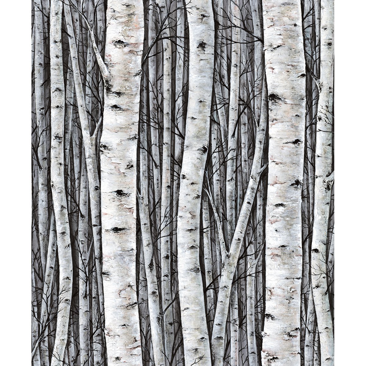 Marburg | Timber VII Marburg | Timber VII