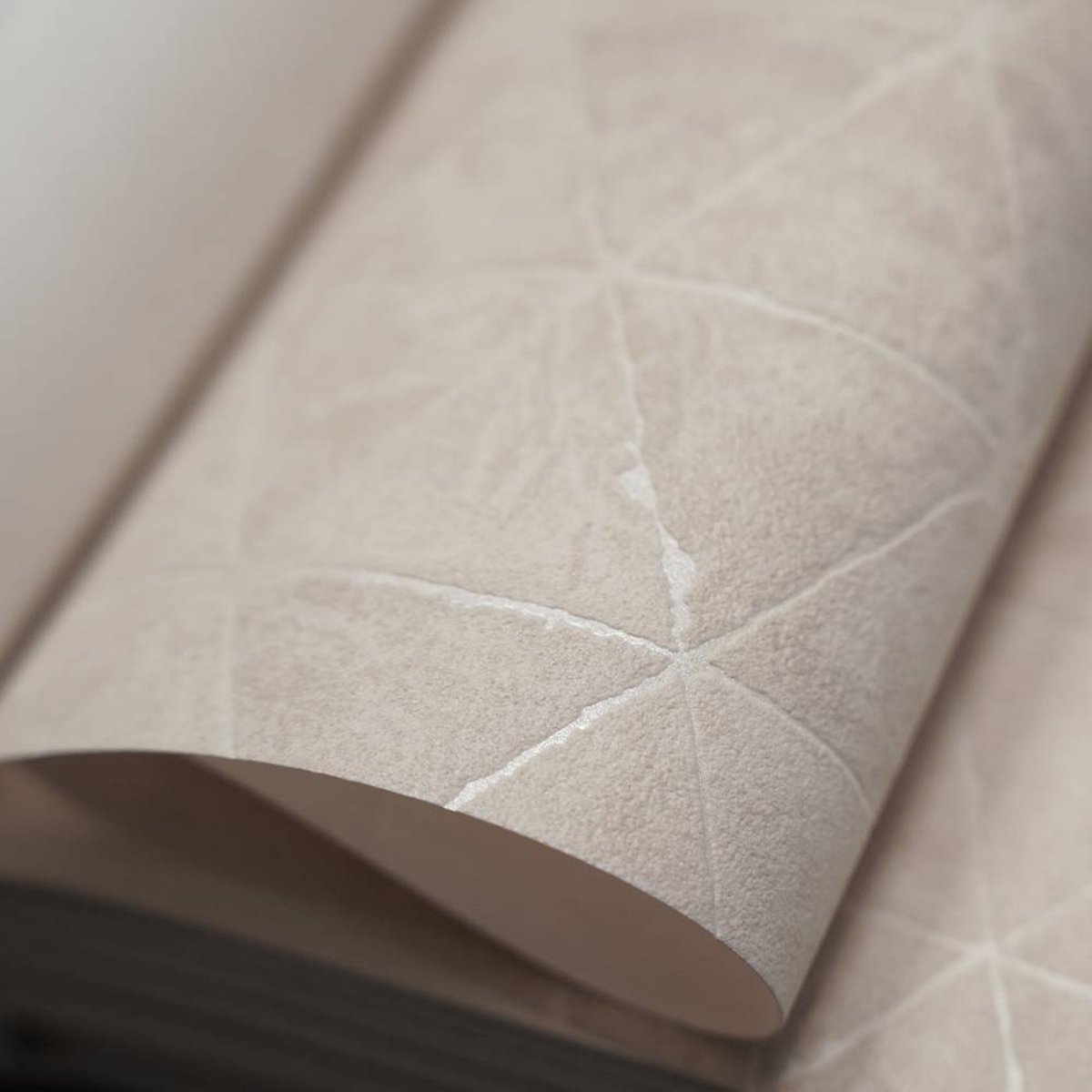 Marburg | Novamur Kylie XII Marburg | Novamur Kylie XII