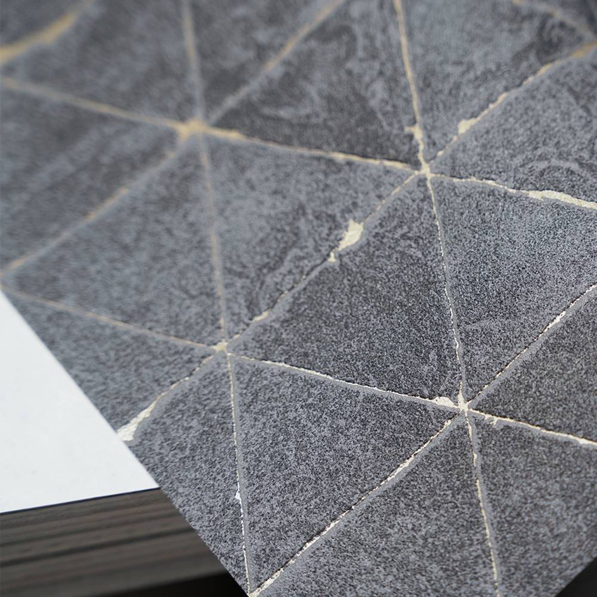 Marburg | Novamur Kylie XII Marburg | Novamur Kylie XII