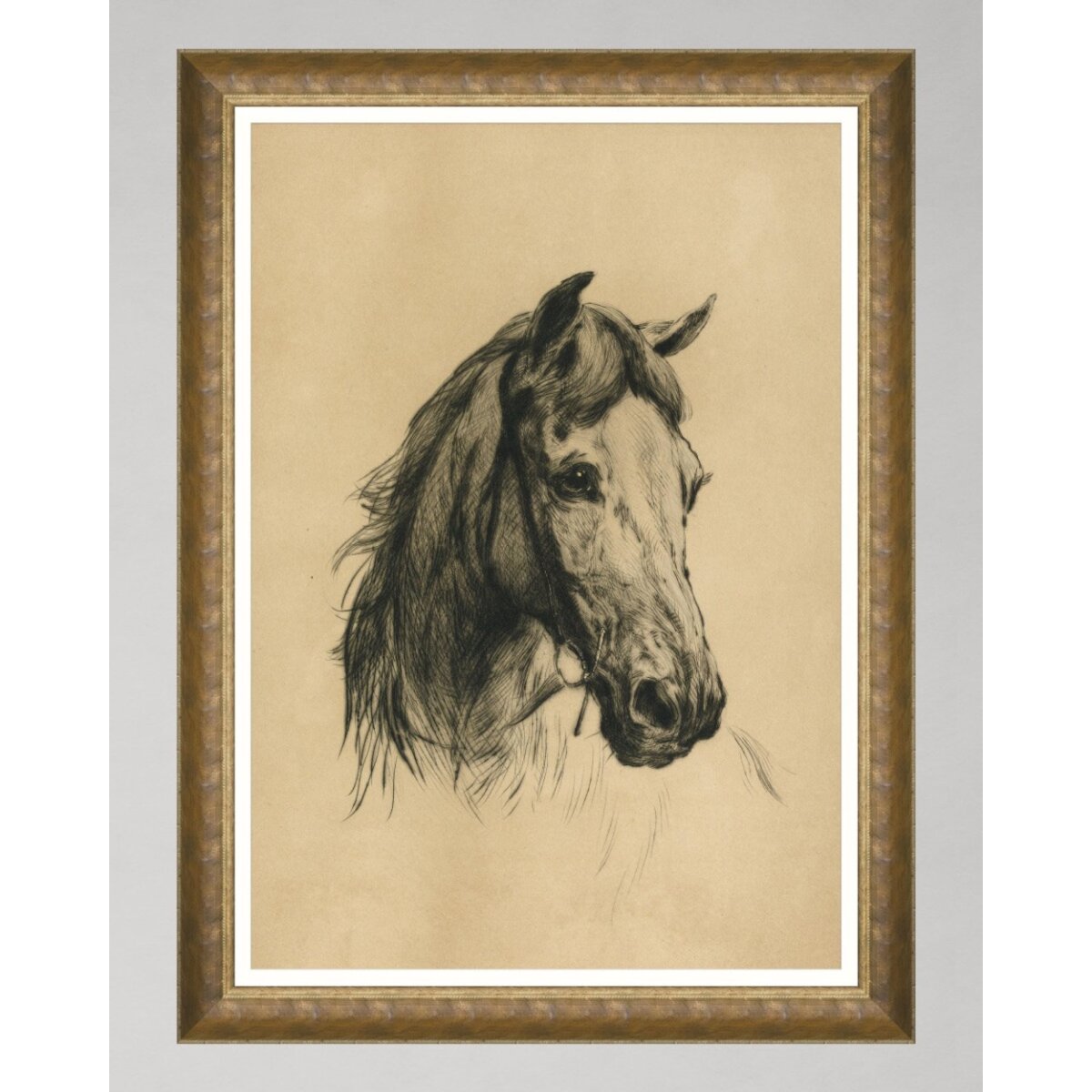 MINDTHEGAP | WOODSTOCK '69 | Framed Art | Head of a Horse by Heywood Hardy MINDTHEGAP | WOODSTOCK '69 | Framed Art | Head of a Horse by Heywood Hardy
