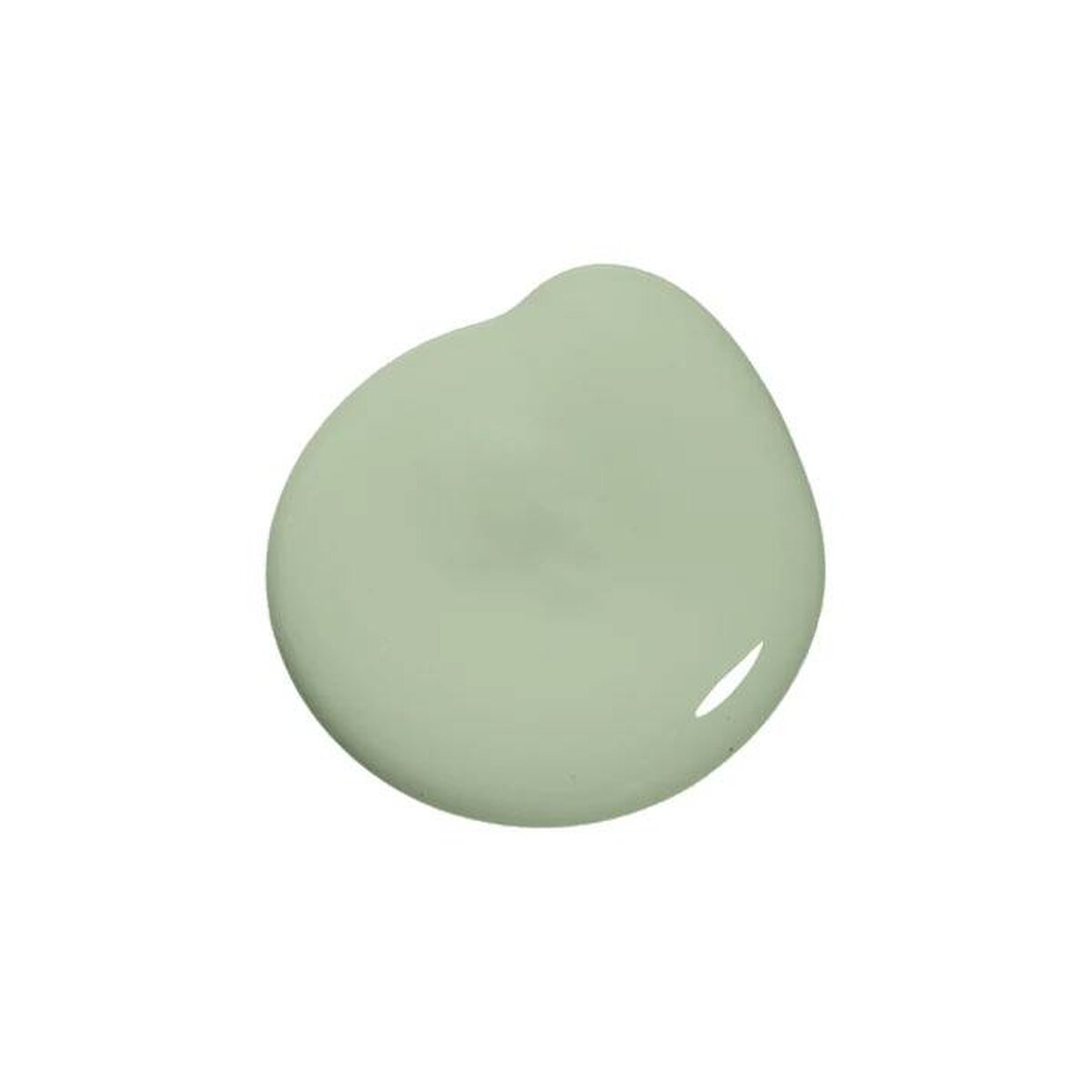 NR-Matcha Roll NR-Matcha Roll