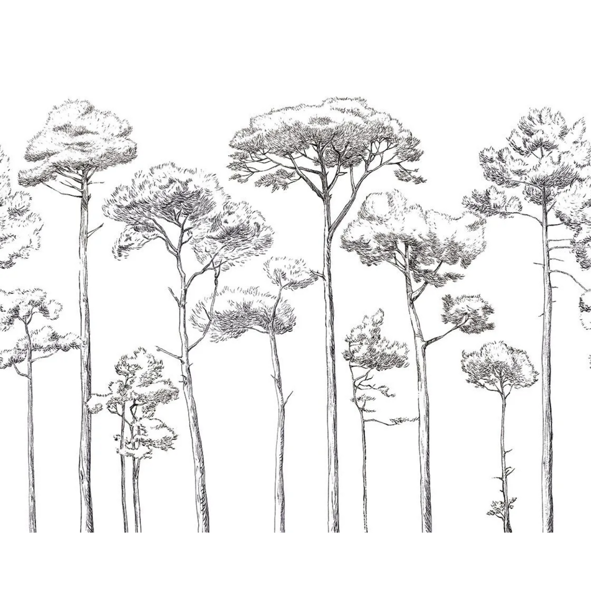 PaperMint | Sous Les Pins I PaperMint | Sous Les Pins I