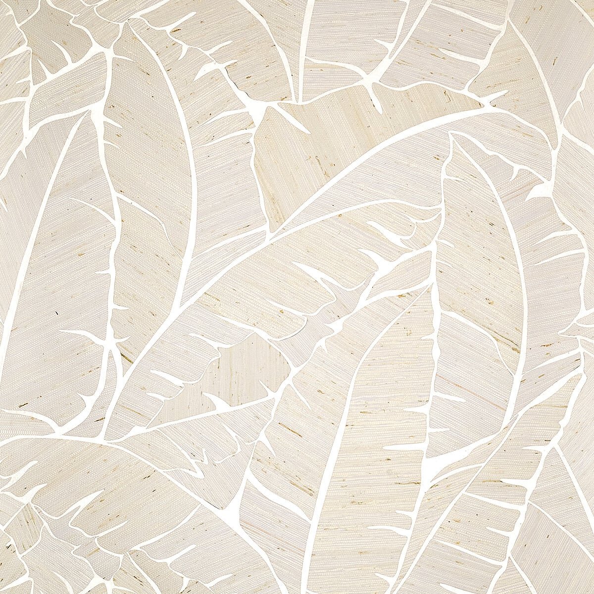 Phillip Jeffries | Palm Paradise I Phillip Jeffries | Palm Paradise I