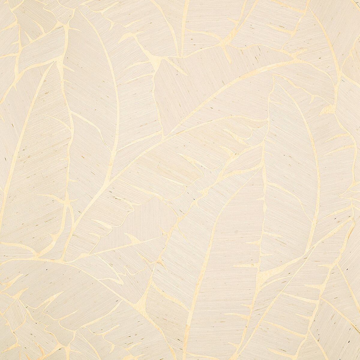 Phillip Jeffries | Palm Paradise I Phillip Jeffries | Palm Paradise I
