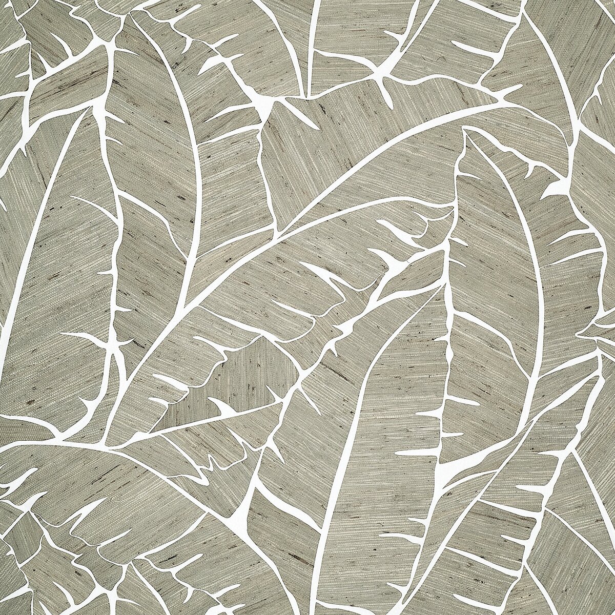 Phillip Jeffries | Palm Paradise II Phillip Jeffries | Palm Paradise II