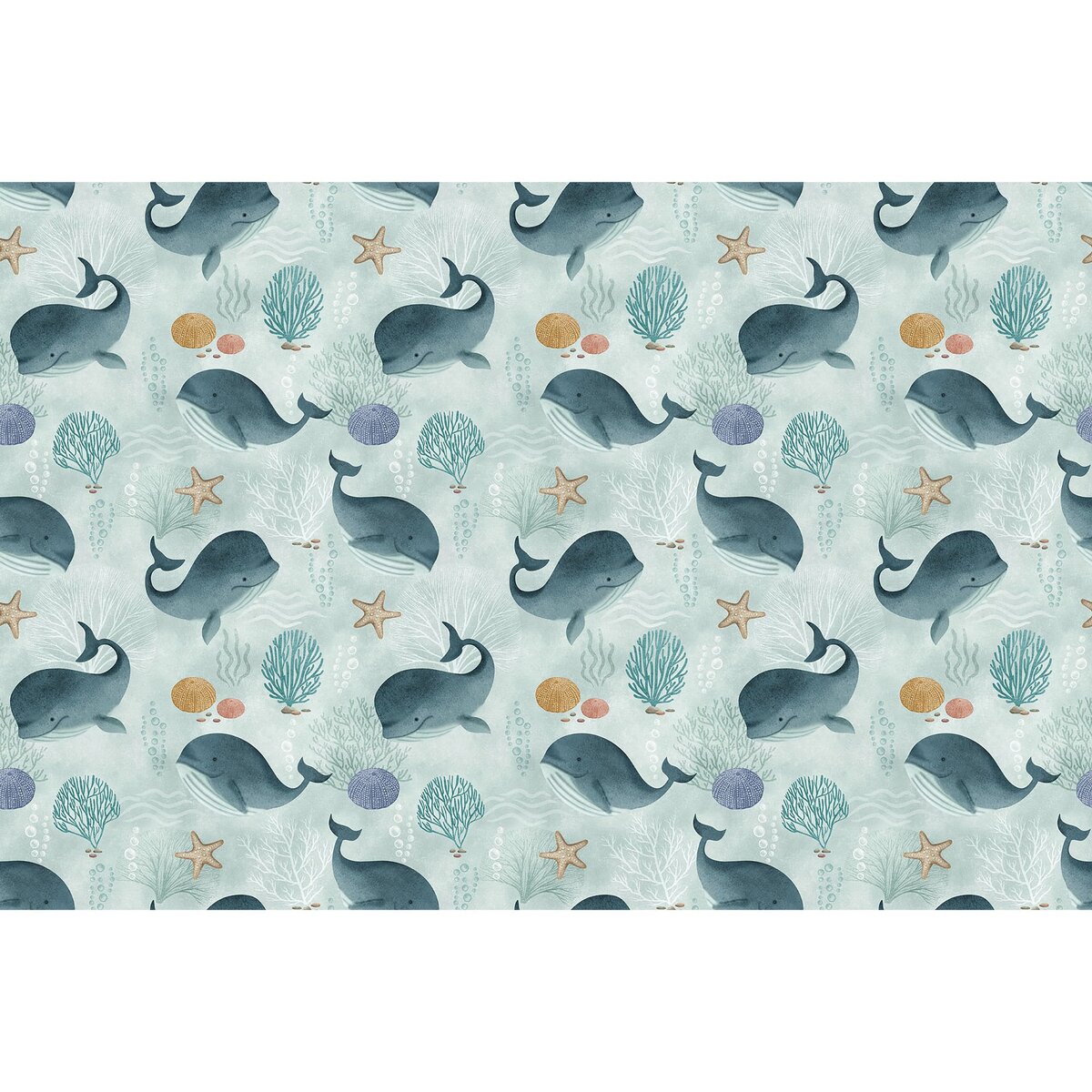 Rimura | Baby Whale Rimura | Baby Whale