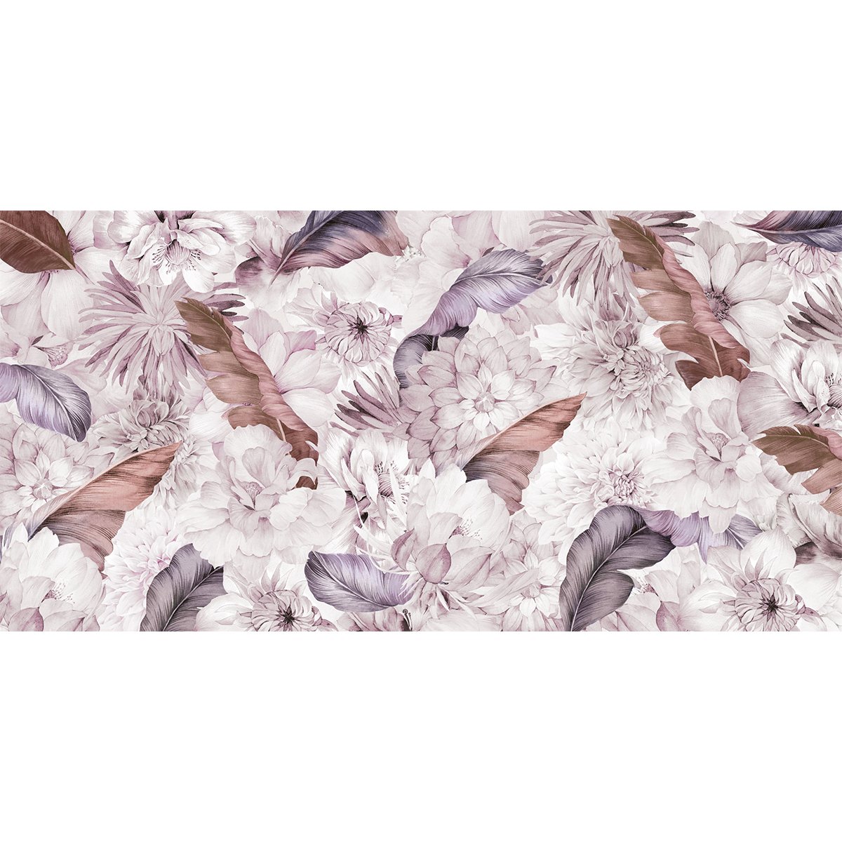 Rimura | Faba Rimura | Faba