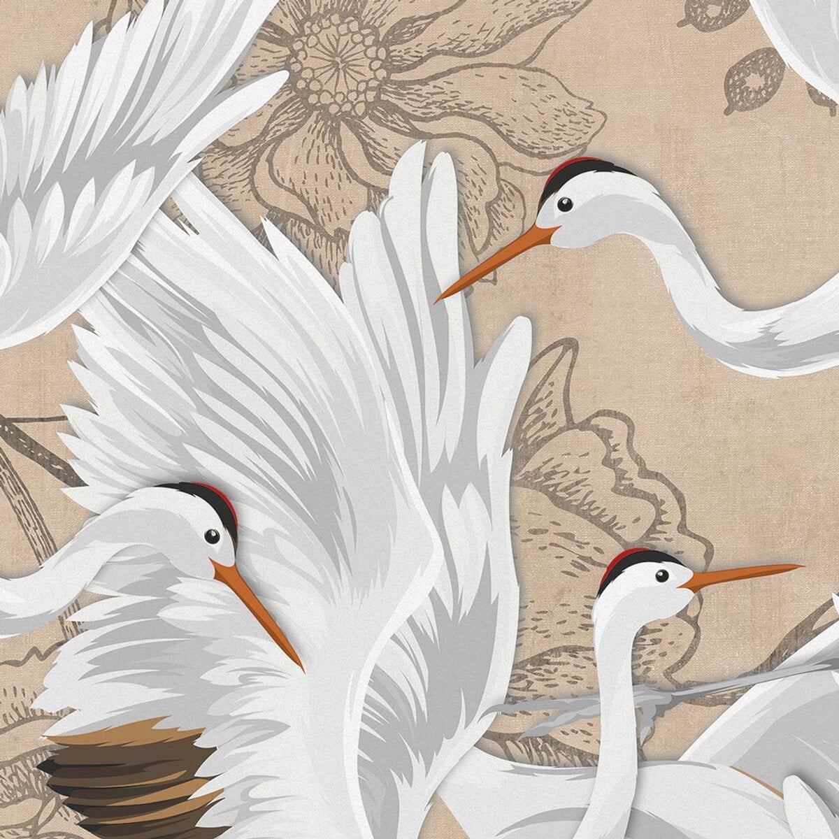 Rimura | Grus Rimura | Grus