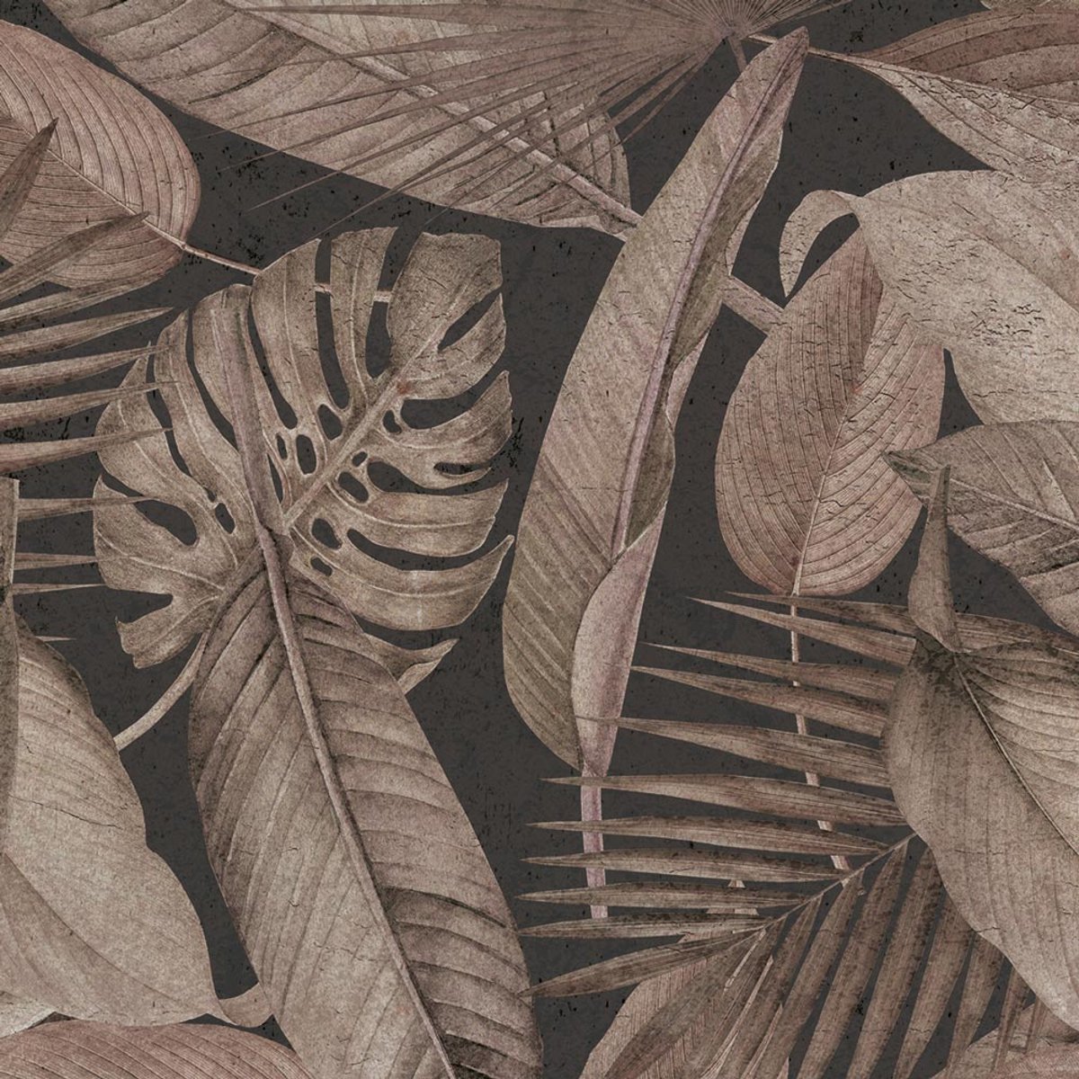 Rimura | Montego Bay Rimura | Montego Bay