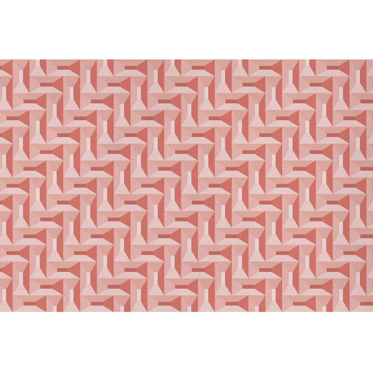 Rimura | Coral Rimura | Coral