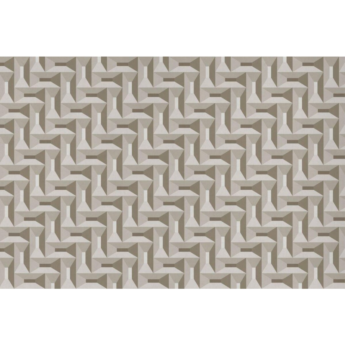 Rimura | Coral Rimura | Coral