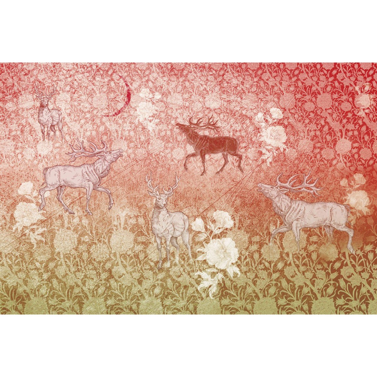 Rimura | Foresta Rimura | Foresta