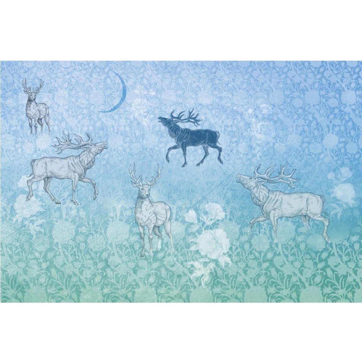 Rimura | Foresta Rimura | Foresta