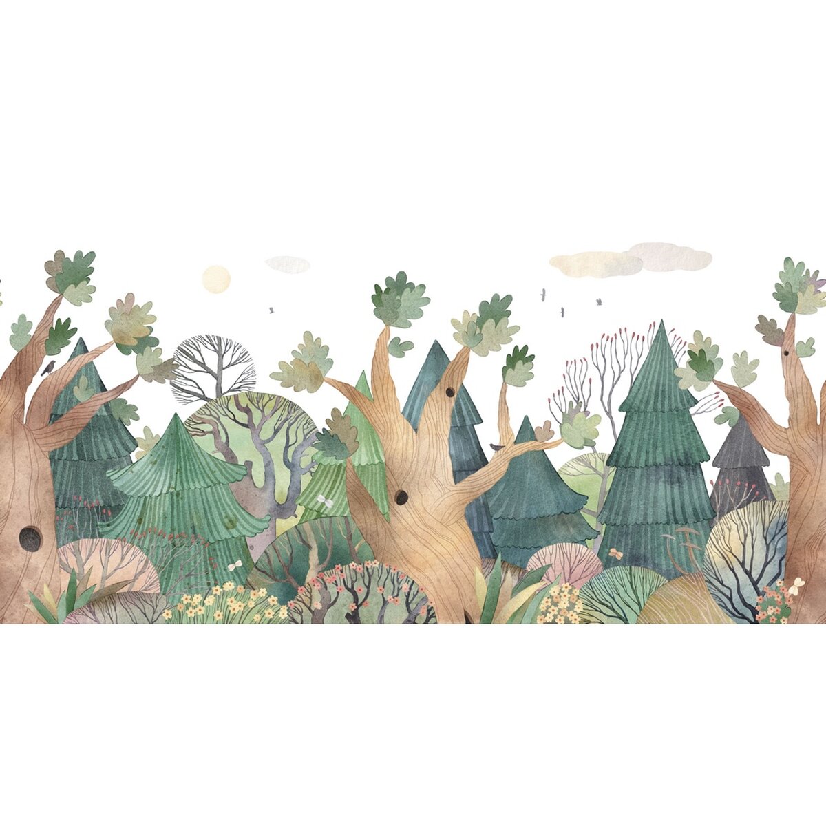 Rimura | Scoiattolandia Rimura | Scoiattolandia