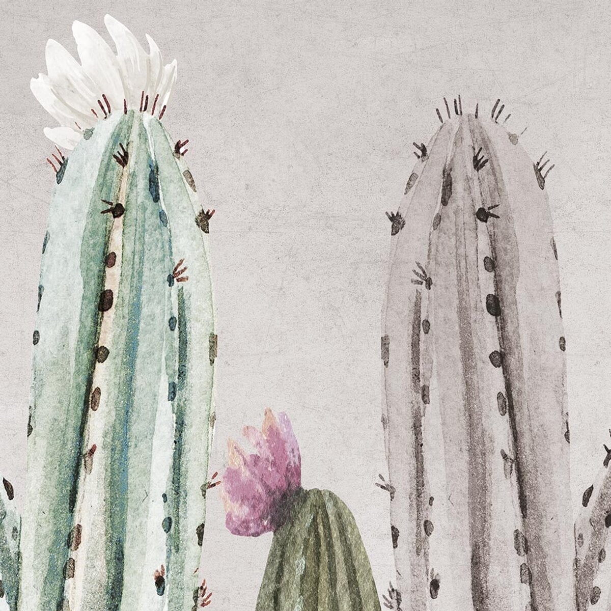 Rimura | Tucson Rimura | Tucson