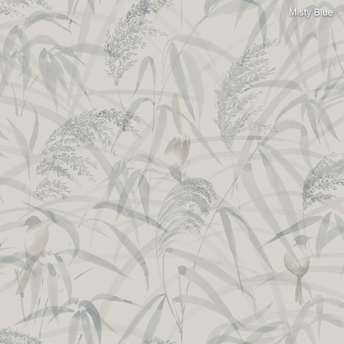 Sandberg | Anna Sandberg | Anna