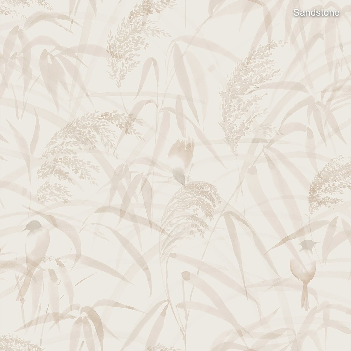 Sandberg | Anna Sandberg | Anna