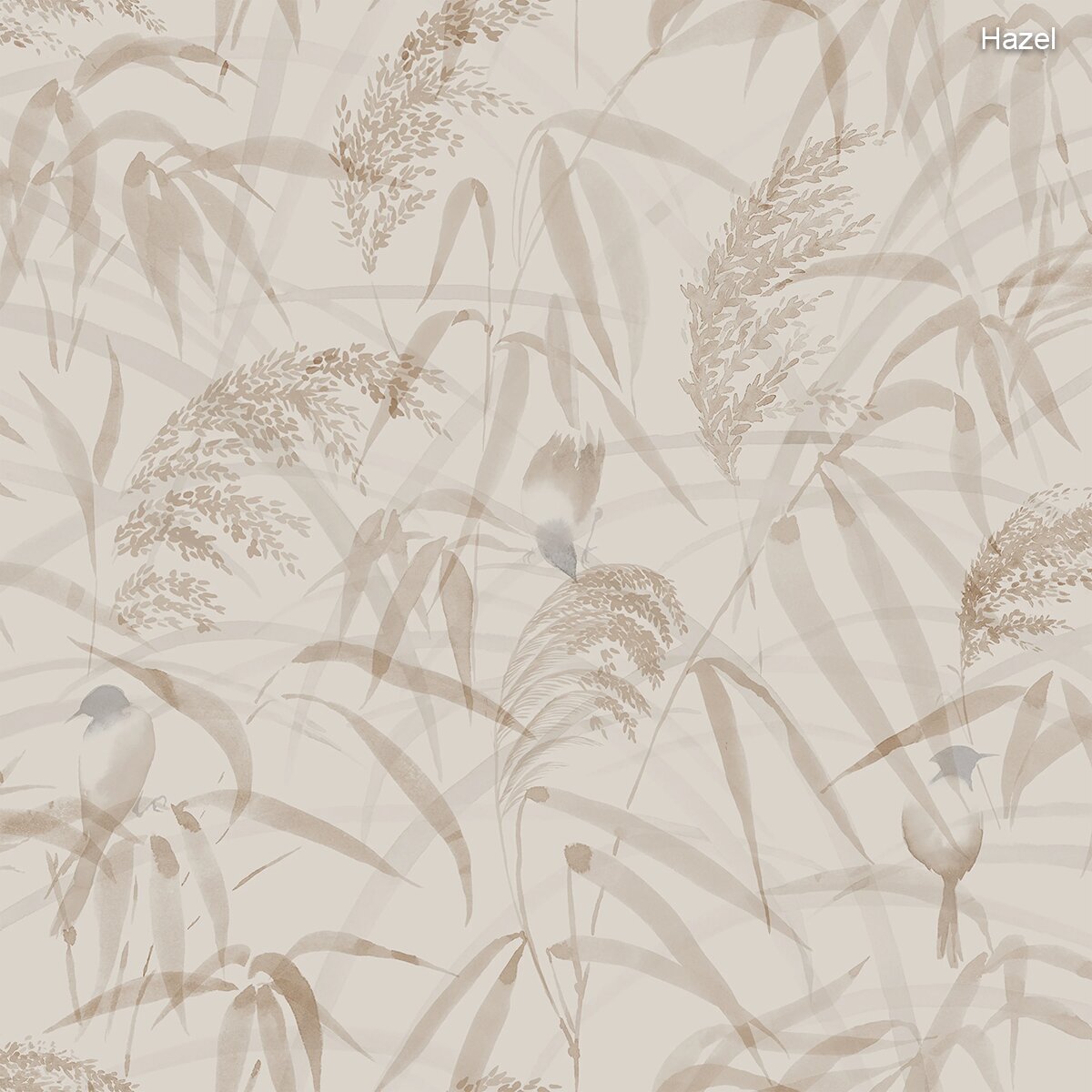 Sandberg | Anna Sandberg | Anna