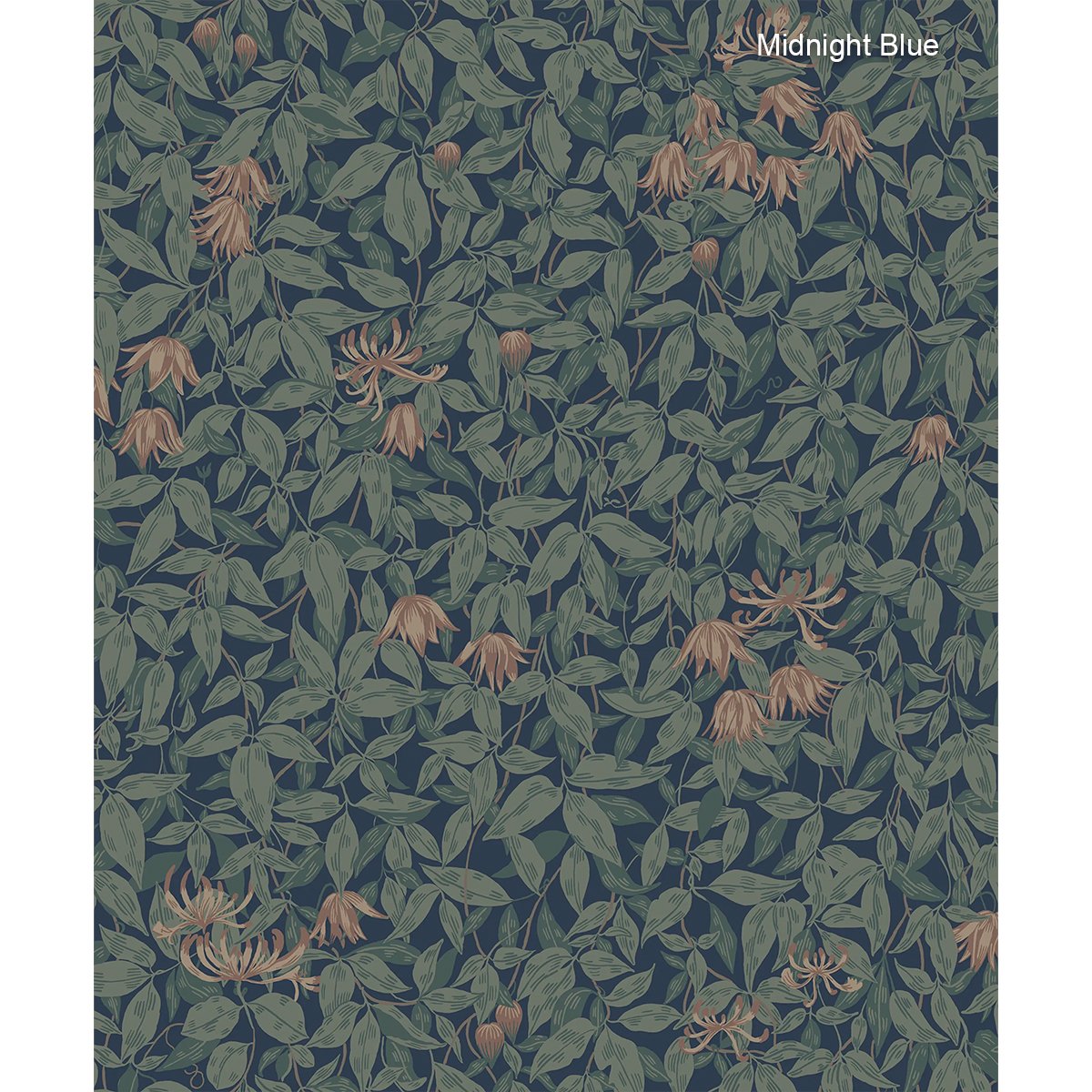 Sandberg | Linnea Sandberg | Linnea