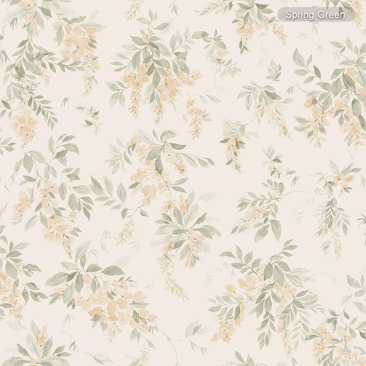 Sandberg | Lovisa Sandberg | Lovisa