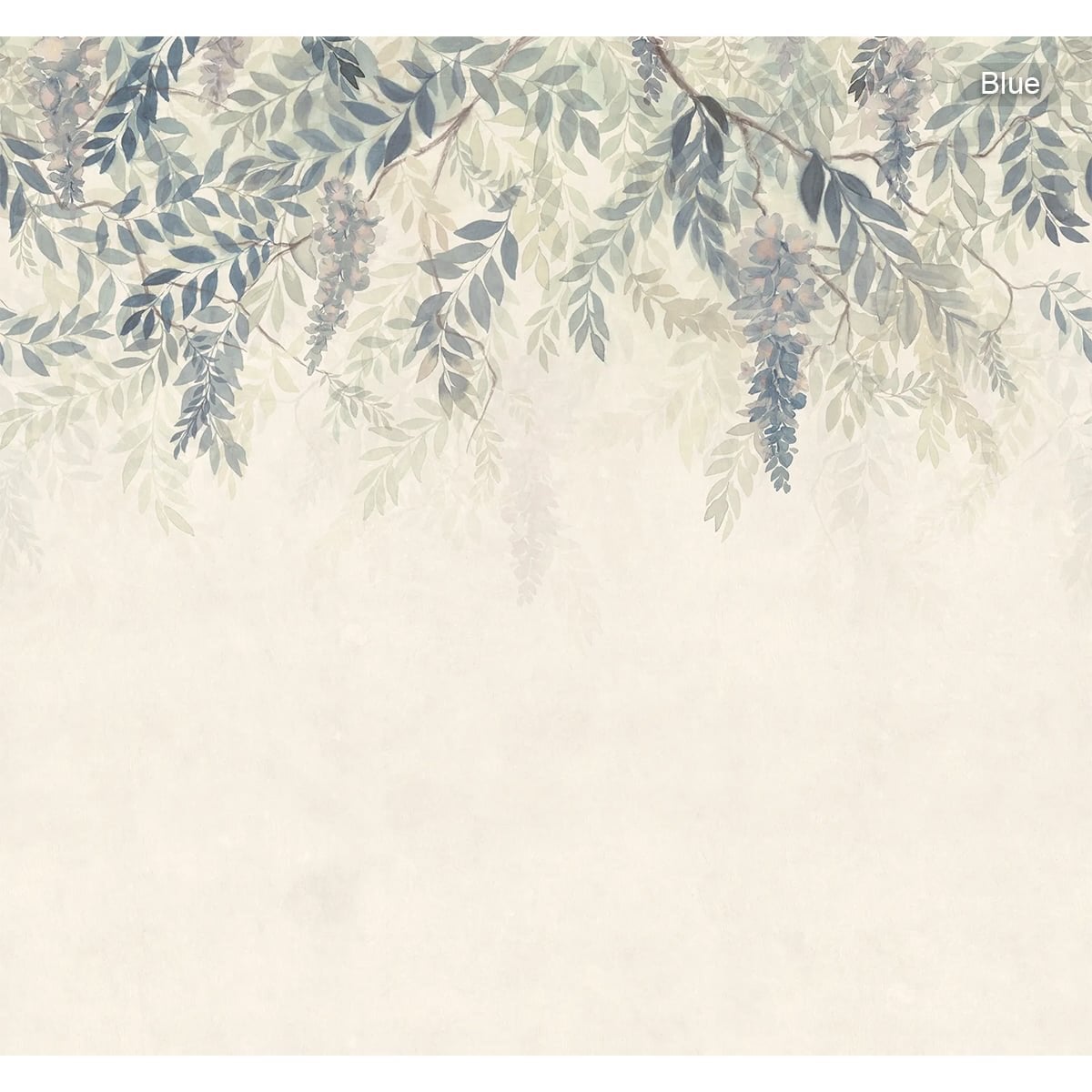 Sandberg | Wisteria Sandberg | Wisteria