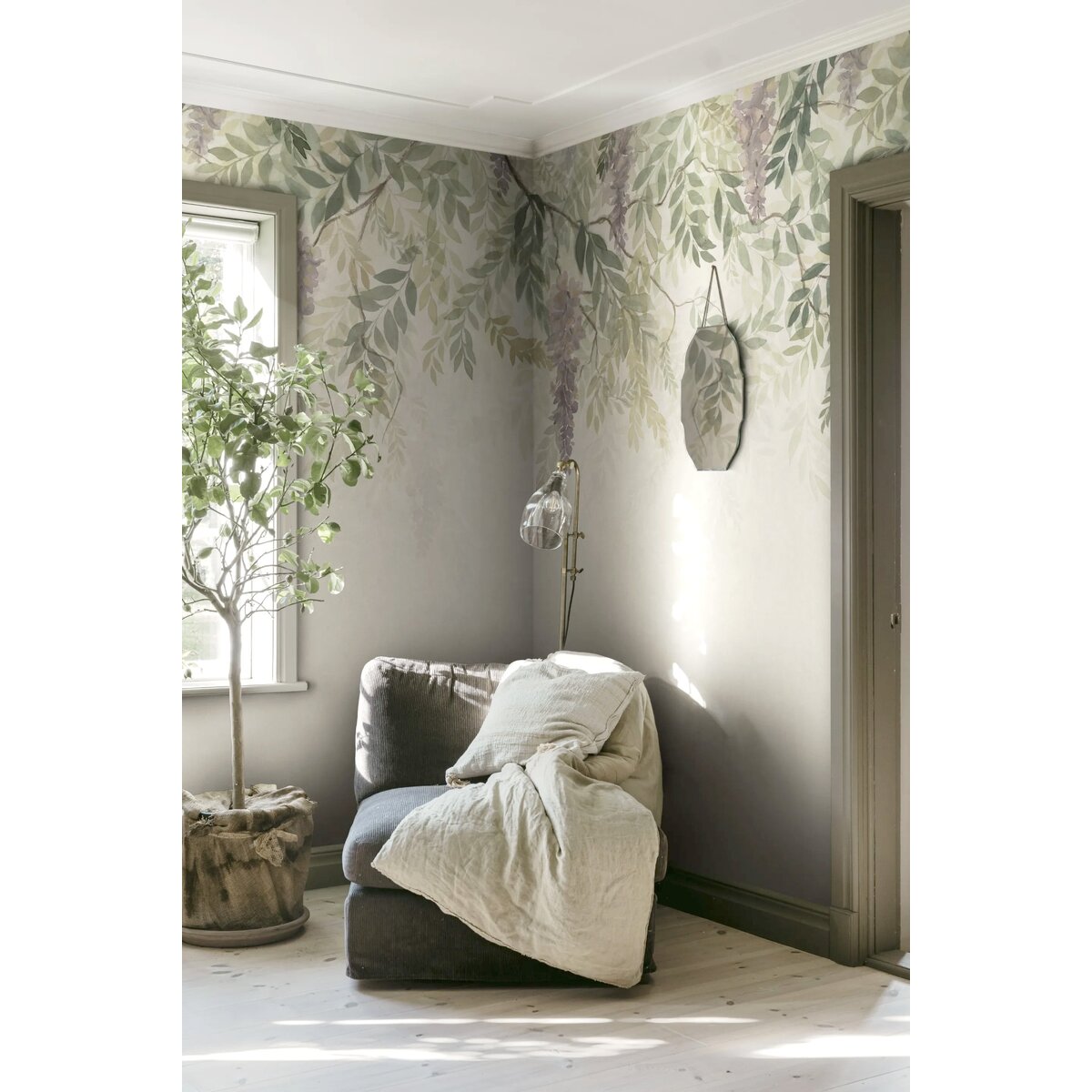 Sandberg | Wisteria Sandberg | Wisteria