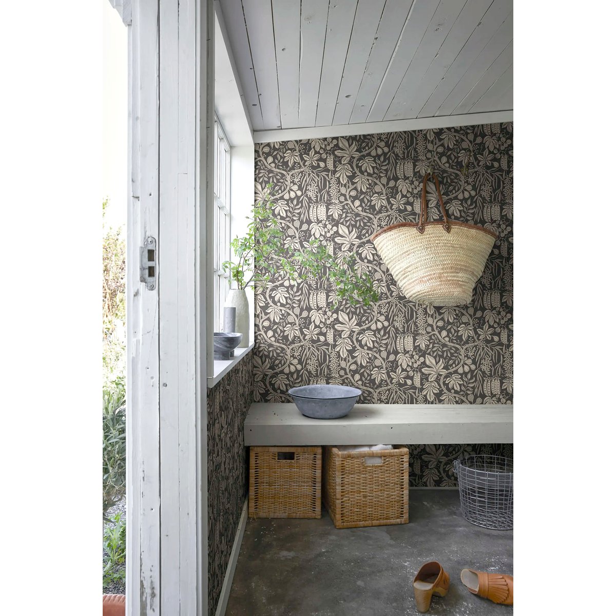 Sandberg | Fig Garden Sandberg | Fig Garden