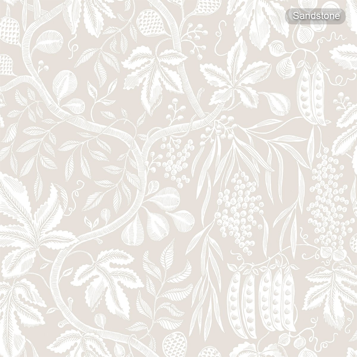 Sandberg | Fig Garden Sandberg | Fig Garden