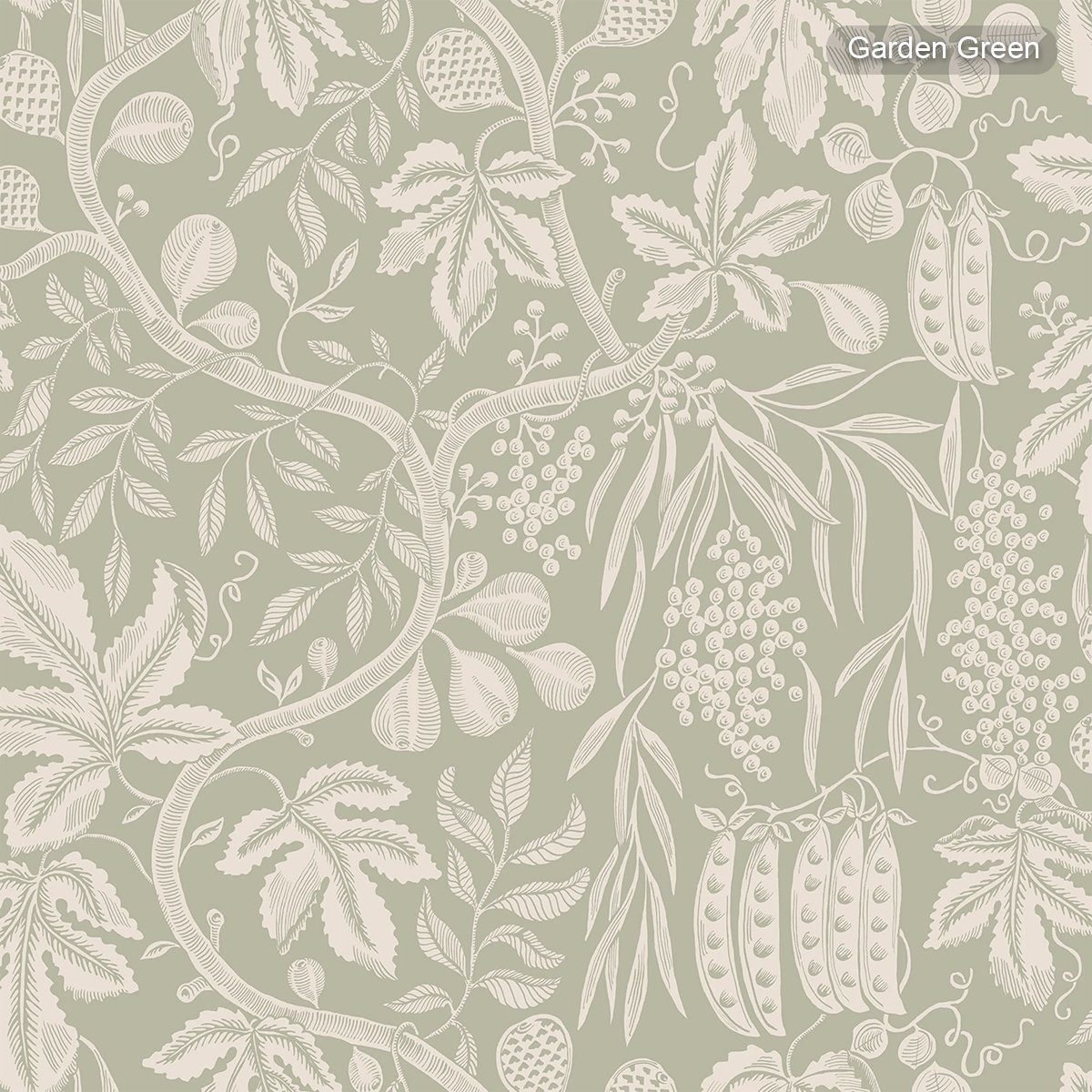 Sandberg | Fig Garden Sandberg | Fig Garden