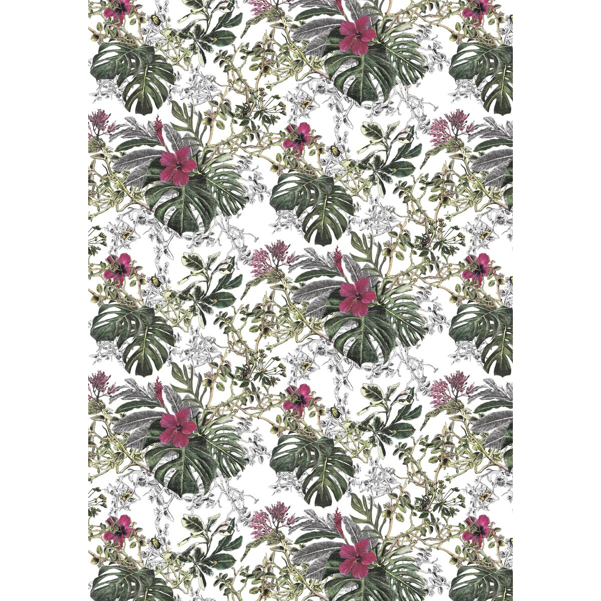 Summer Tropical Bloom | Sian Zeng Summer Tropical Bloom | Sian Zeng