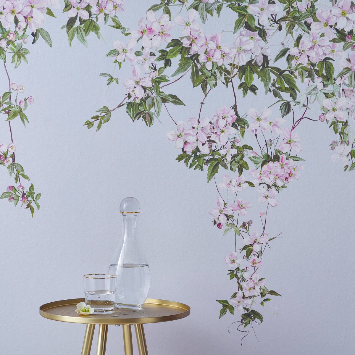 Classic Clematis Blue | Sian Zeng Classic Clematis Blue | Sian Zeng