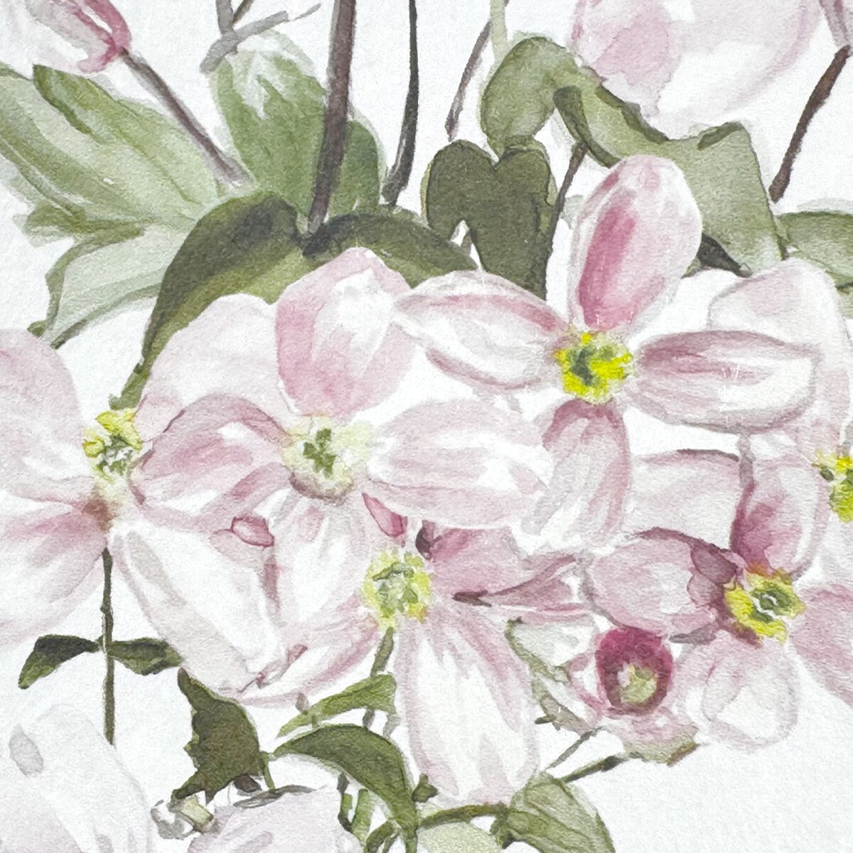 Classic Clematis Blue | Sian Zeng Classic Clematis Blue | Sian Zeng