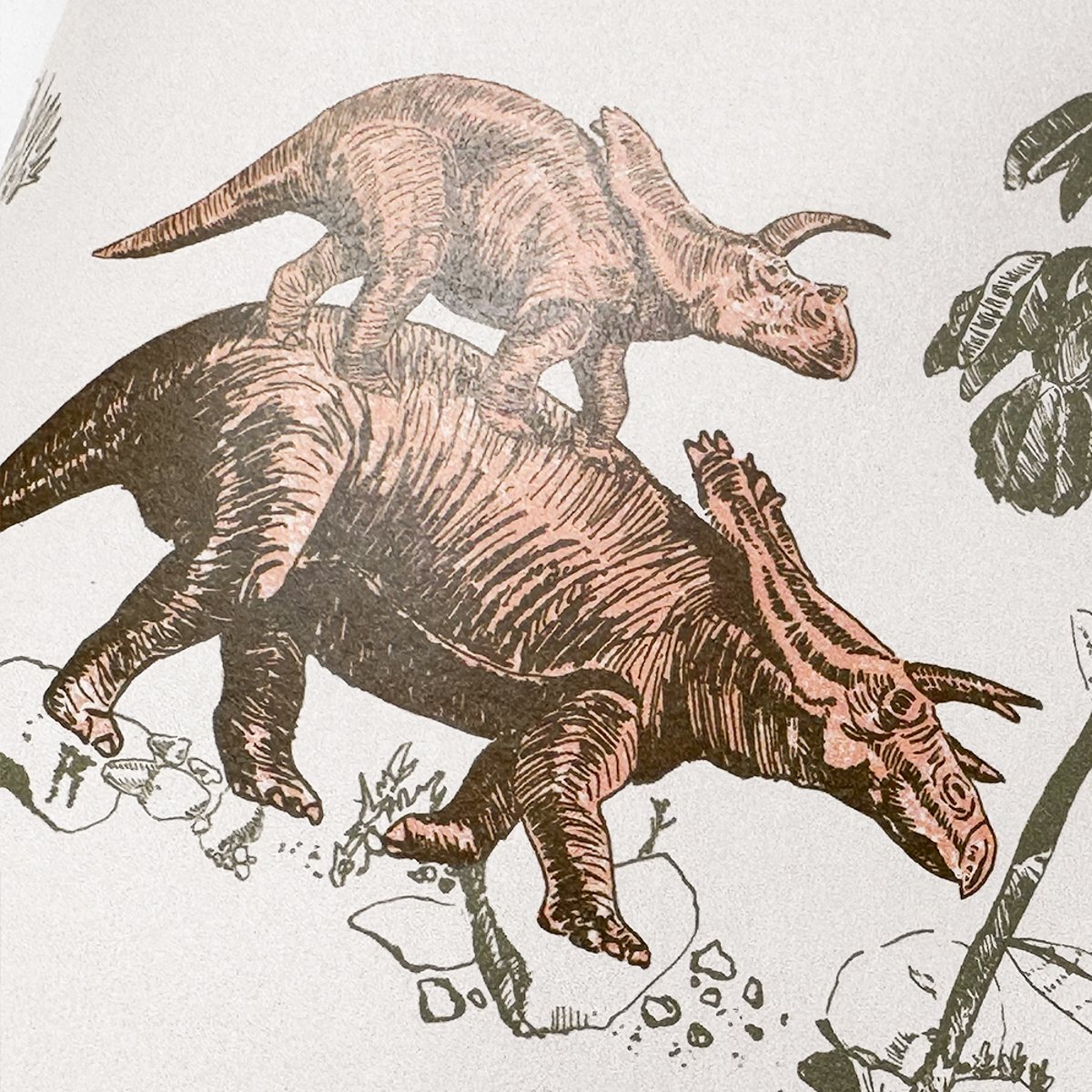 Classic Dino Pink Green | Sian Zeng Classic Dino Pink Green | Sian Zeng