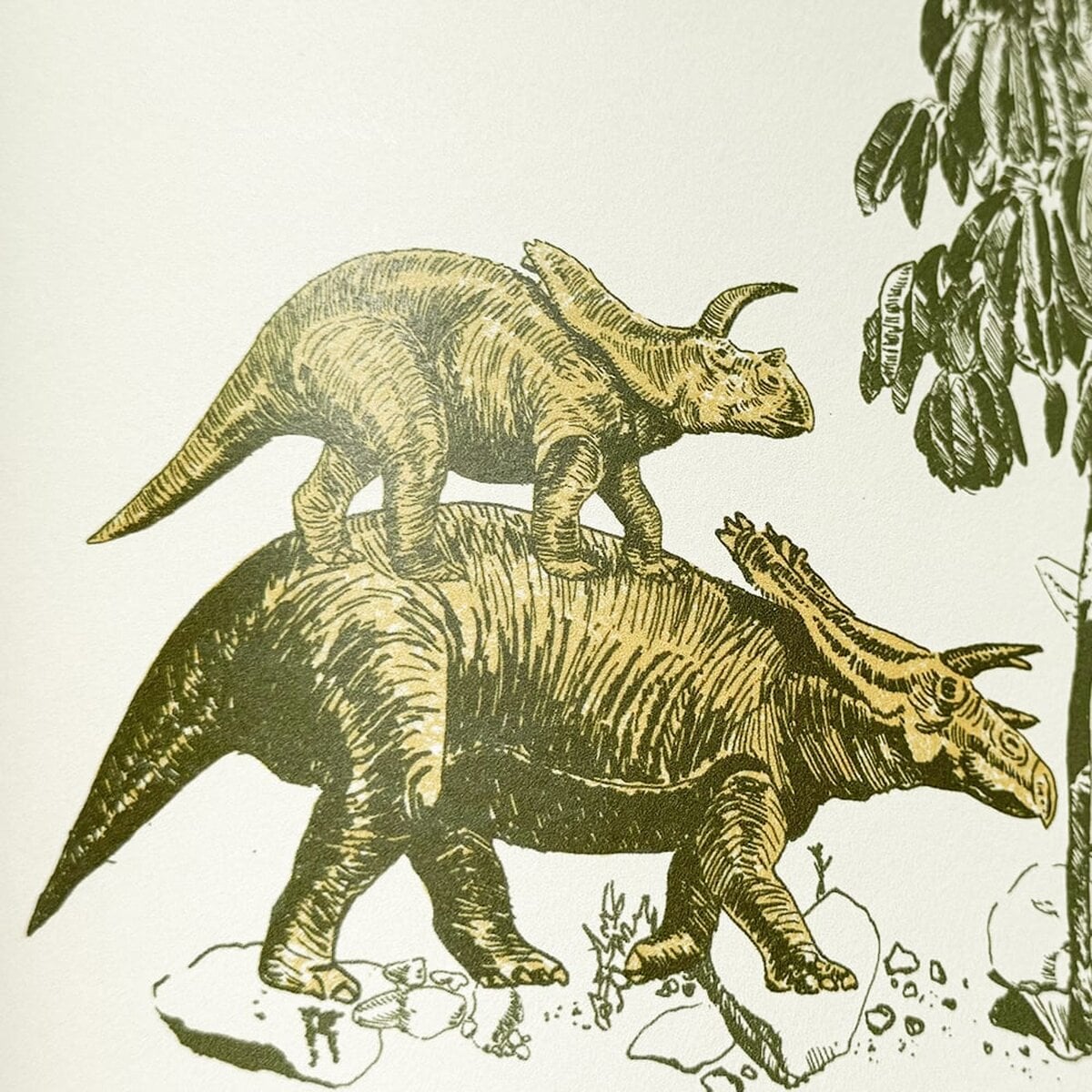 Classic Dino | Sian Zeng Classic Dino | Sian Zeng